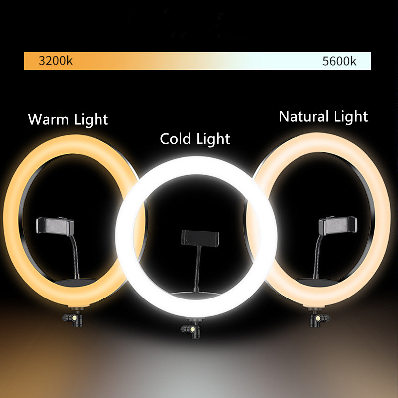 6 Inch Mini Selfie Ring Light  - Webcam Ring Light 评论和价格