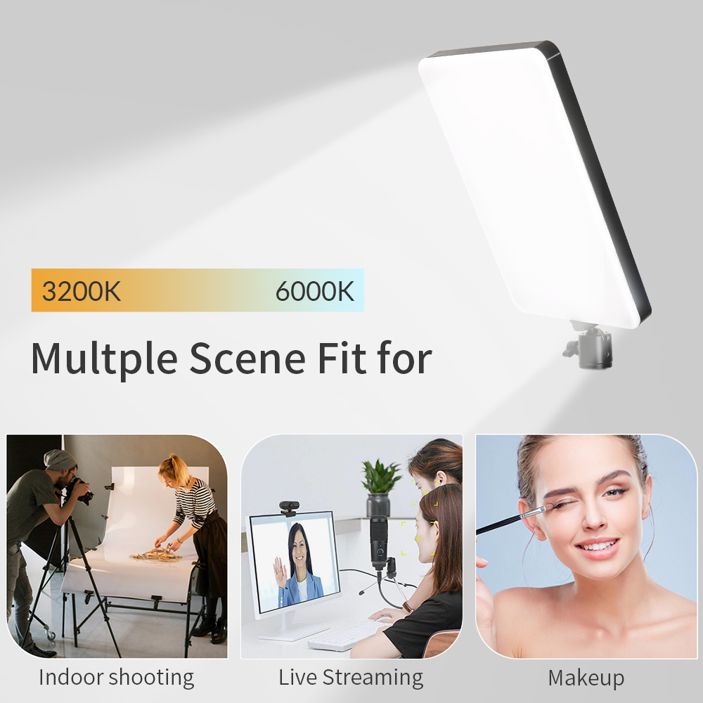 Dimmable 10inch Led Video Ligh - Webcam Ring Light 评论和价格